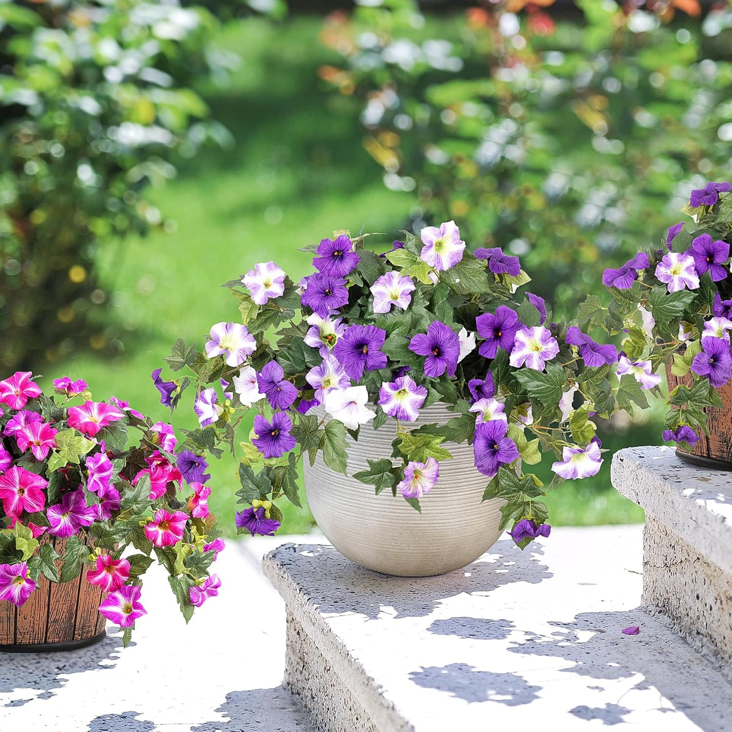 EchoBloom Zimmerblumen