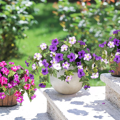 EchoBloom Zimmerblumen